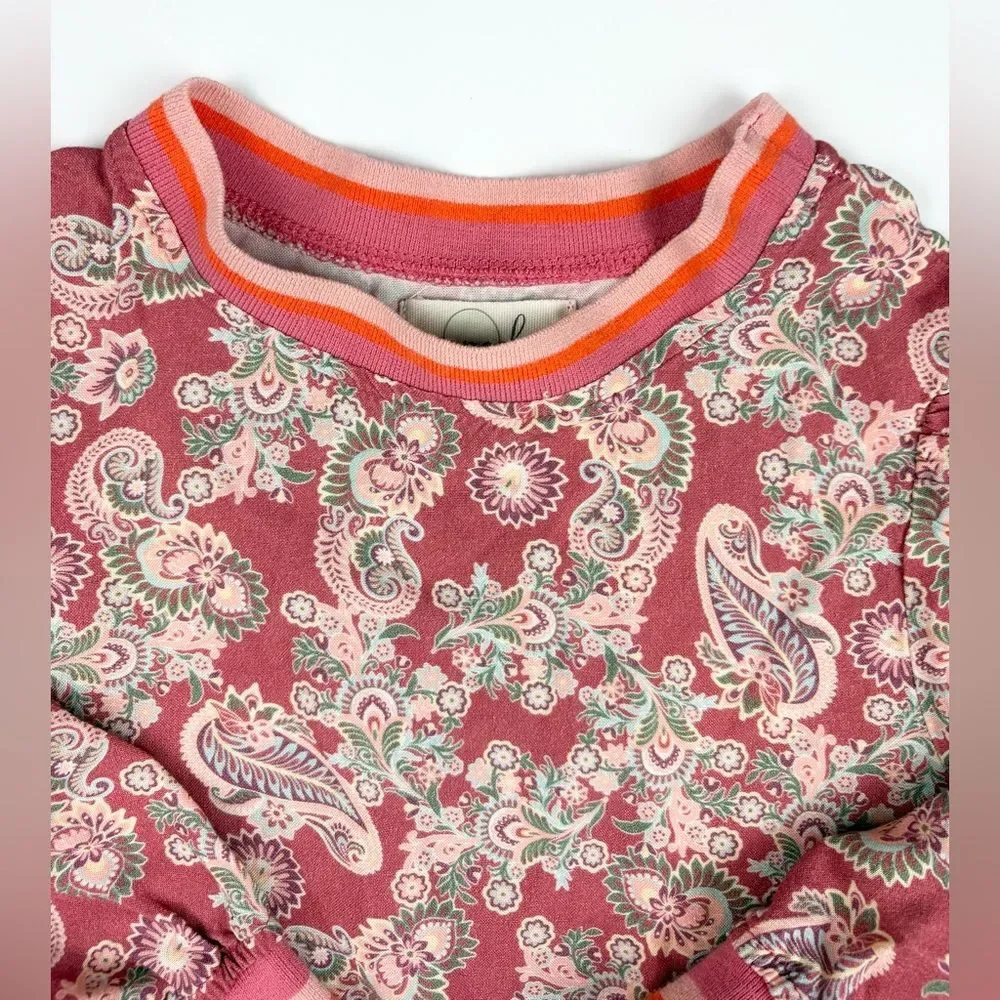 Peek Girl's Paisley Long Sleeve Drop Waist Dress size 3T